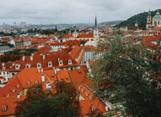Czerwone dachy i zabytkowa zabudowa Pragi z lotu ptaka